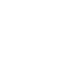 logo instagram